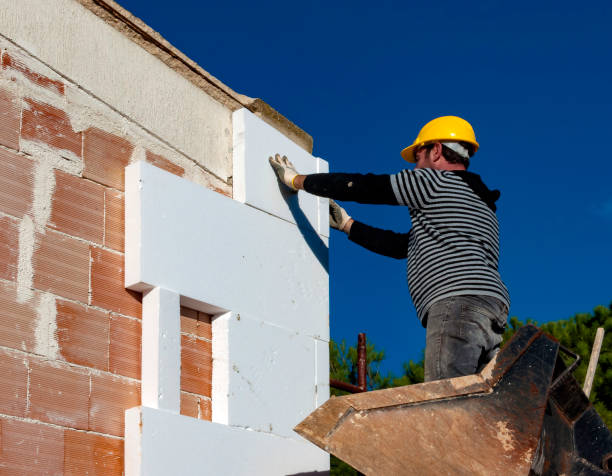 Best Garage Insulation Installation  in Albany, MO