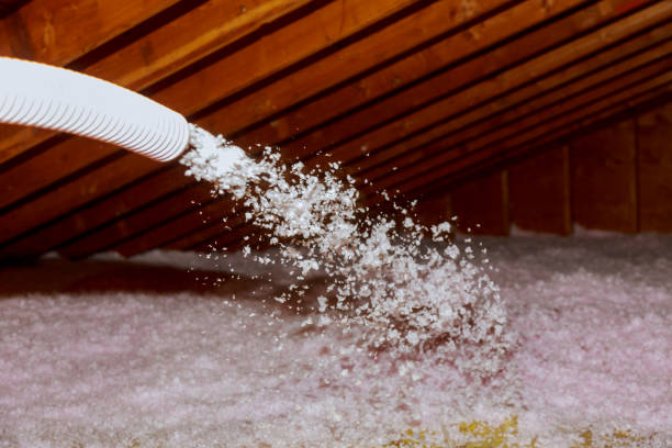 Best Cellulose Insulation  in Albany, MO