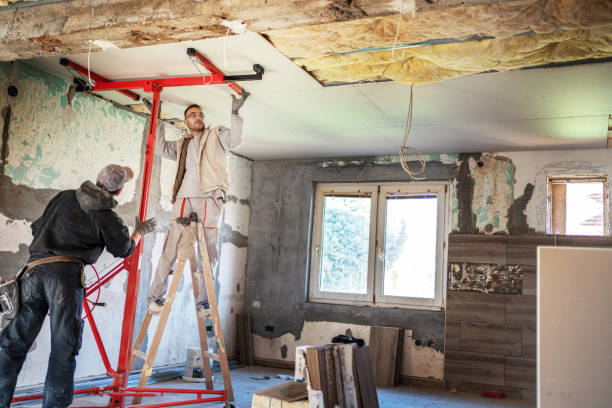 Best Local Insulation Services  in Albany, MO