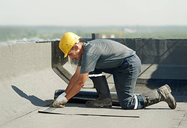 Best Energy-efficient Insulation  in Albany, MO