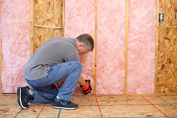 Best Professional Insulation Contractor  in Albany, MO