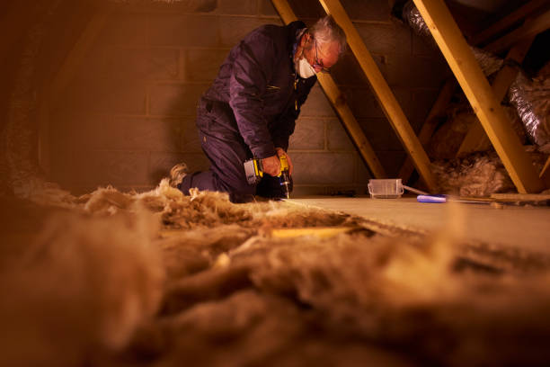 Best Soundproof Insulation Installation  in Albany, MO