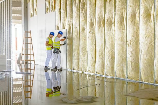 Insulation Repair Services in Albany, MO